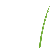 New Mexico Simon Scholars Logo